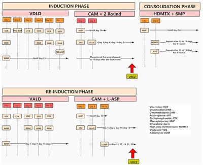 Voriconazole Induced Hallucinations and Visual Disturbances in a Female Child: A Case Report and Literature Review